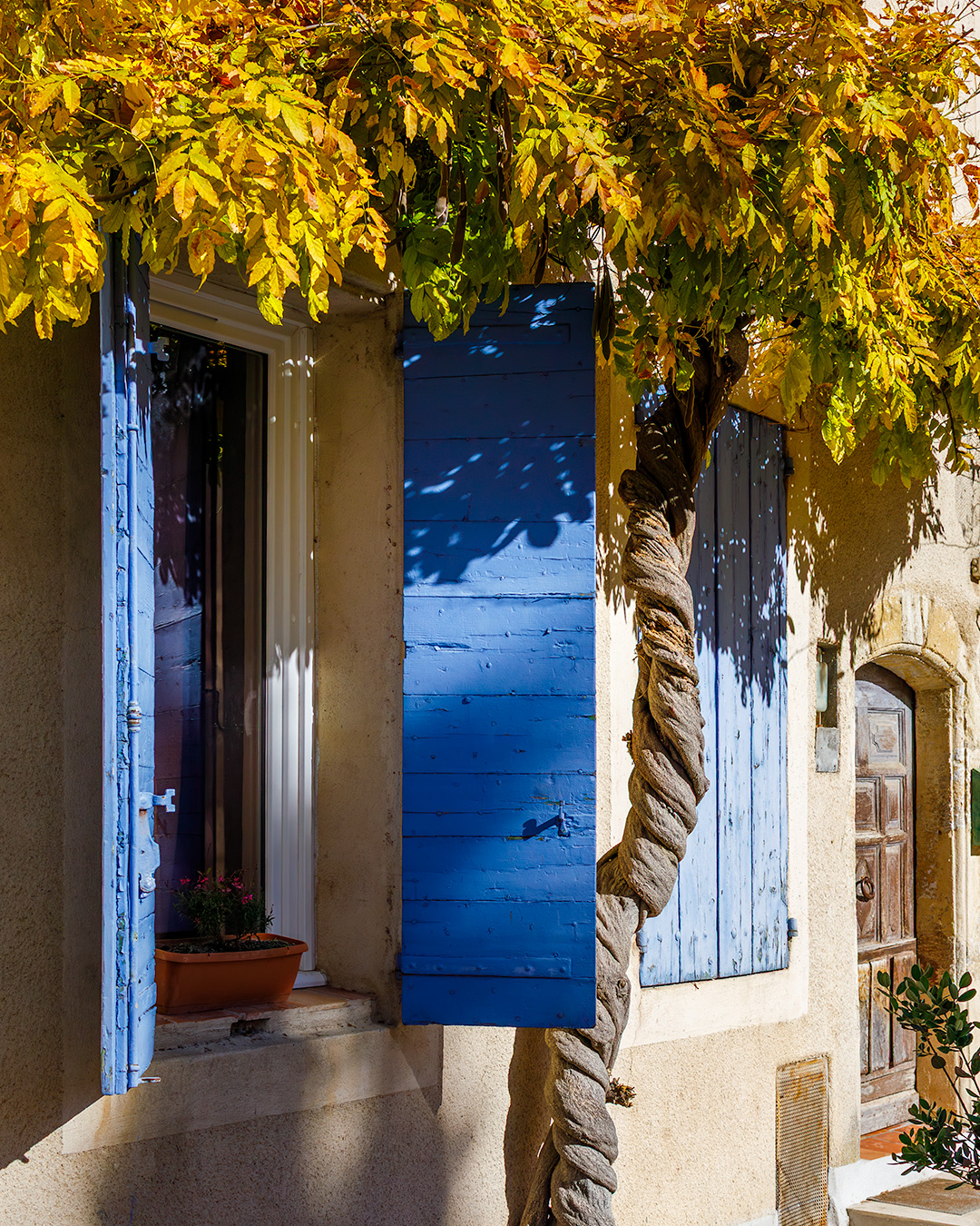 provence