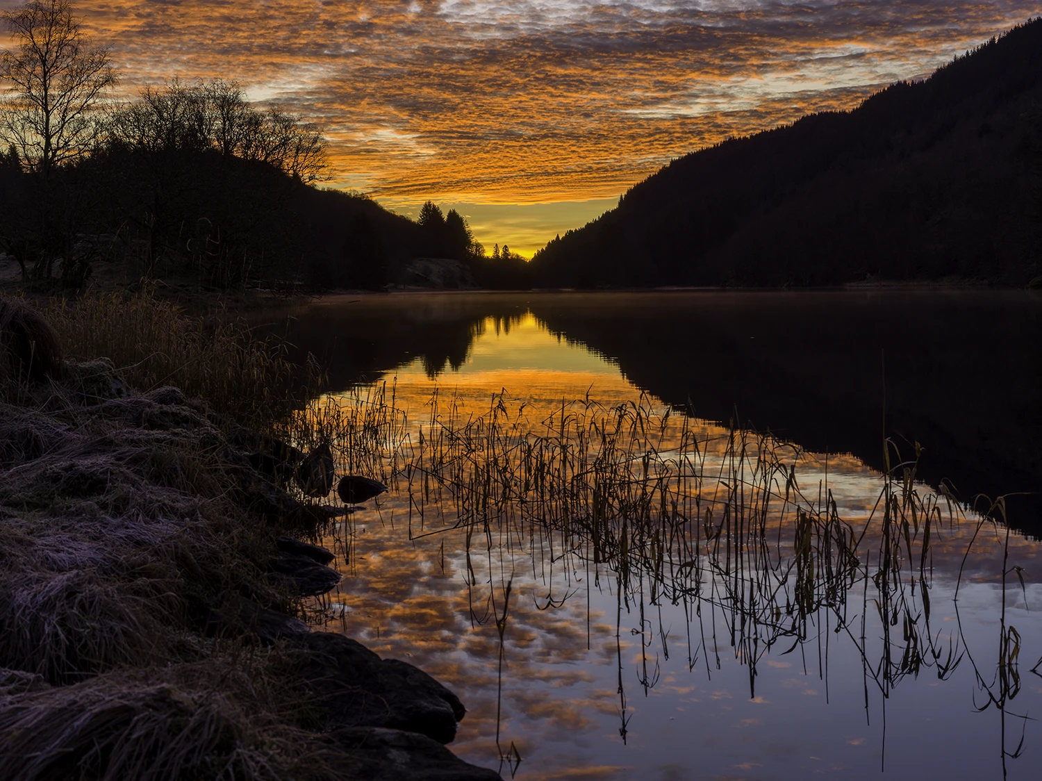 Når det er verdt å stå tidlig opp